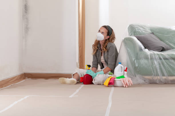 Reliable Mold Remediation contractor in Hinsdale, IL by 24 Hour Mold Removal
